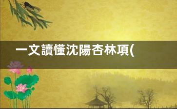 一文讀懂沈陽杏林項(xiàng)目價(jià)格表分享：微整/頜面/抗衰全項(xiàng)目收費(fèi)明細(xì)