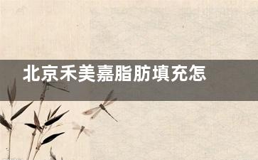 北京禾美嘉脂肪填充怎么樣:實力評測,揭秘禾美嘉脂肪填充技術(shù)特色到底如何