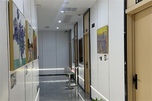 長(zhǎng)沙藝脂醫(yī)療美容走廊環(huán)境 長(zhǎng)沙藝脂醫(yī)療美容走廊環(huán)境