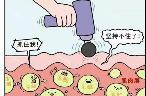 筋膜槍作用示意圖